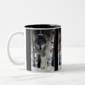 GRAY PACK WOLF Wildlife Gift Tasse (Links)