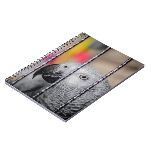 Gray Parrot Notizblock (Linke Seite)