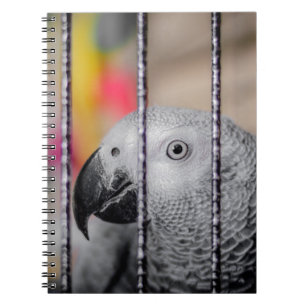 Gray Parrot Notizblock