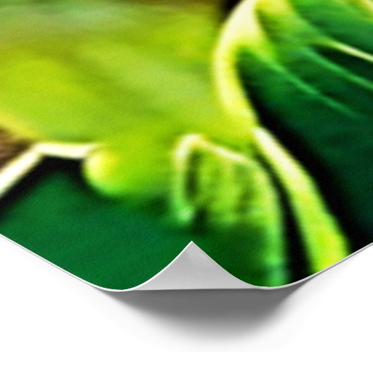 Gray Parrot Perch Poster (Ecke)