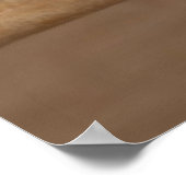 Gray Parrot Poster (Ecke)