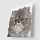 Gray Persian Kitten Quadratische Wanduhr (Winkel)
