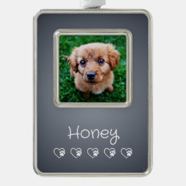 Gray Pet Photo Ornament - Frame, Pet Portrait Rahmen-Ornament Silber