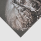Gray Poodle als Prinzessin verkleidet Seidenpapier (Ausschnitt)