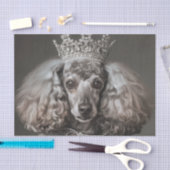 Gray Poodle als Prinzessin verkleidet Seidenpapier (Handwerk)