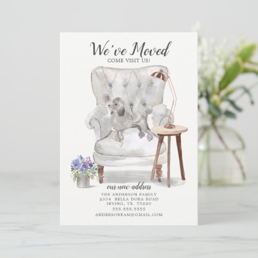 Gray Poodle Dog | Ankündigung der Beförderung (Stehend Vorderseite)