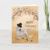 Gray Poodle Funny Pilgrim Hat Erntedank Karte (Vorderseite)
