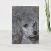 Gray Poodle Note Card Karte (Vorderseite)