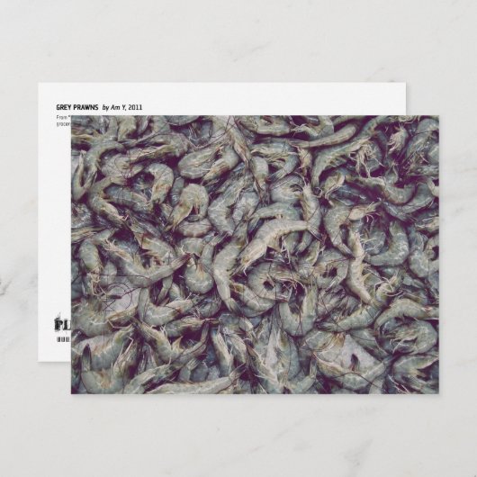 Gray Prawns Postkarte (Vorne/Hinten)
