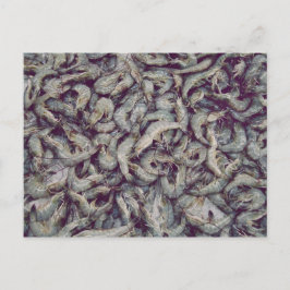 Gray Prawns Postkarte