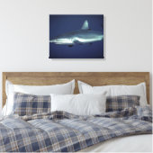 Gray Reef Shark in Yap Micronesia Leinwanddruck (Insitu (Schlafzimmer))