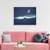 Gray Reef Shark in Yap Micronesia Leinwanddruck (Insitu (Wohnzimmer))