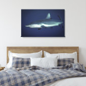 Gray Reef Shark in Yap Micronesia Leinwanddruck (Insitu (Schlafzimmer))