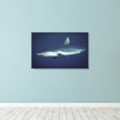 Gray Reef Shark in Yap Micronesia Leinwanddruck (Insitu (Holzboden))