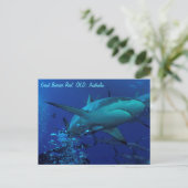 Gray Reef Shark Postcard Postkarte (Stehend Vorderseite)