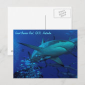 Gray Reef Shark Postcard Postkarte (Vorne/Hinten)