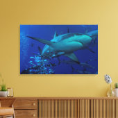Gray Reef Shark Wrapped Canvas Leinwanddruck (Insitu (Wohnzimmer))