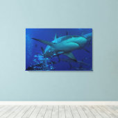 Gray Reef Shark Wrapped Canvas Leinwanddruck (Insitu (Holzboden))