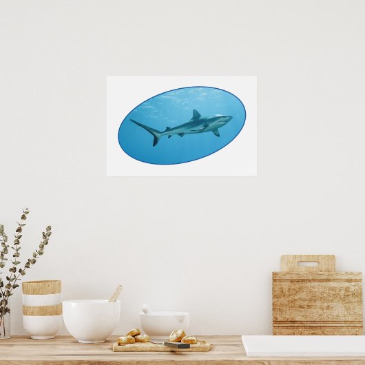 Gray Reefshark, Yap Island - fotografisches Design Poster (Küche)