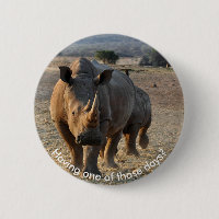 Gray Rhino in freier Wildbahn