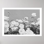 Gray Roses Floral Garden Photo Art Print Poster (Vorne)