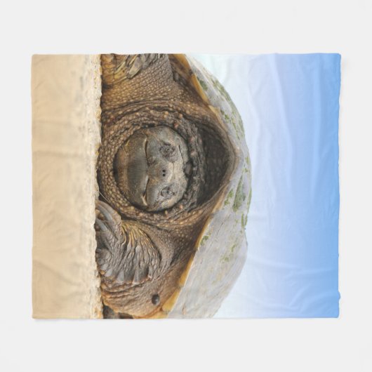 GRAY SAND TURTLE FLEECEDECKE (Vorderseite (Horizontal))