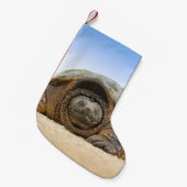 GRAY SAND TURTLE KLEINER WEIHNACHTSSTRUMPF (Vorderansicht (hängend))