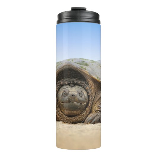 GRAY SAND TURTLE THERMOSBECHER (Vorderseite)