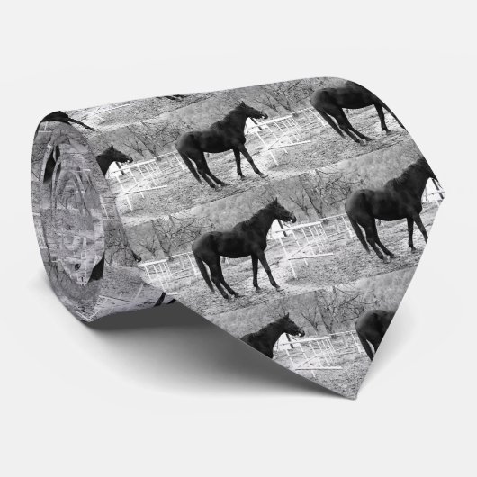 Gray Scale Pop Krawatte (Gerollt)