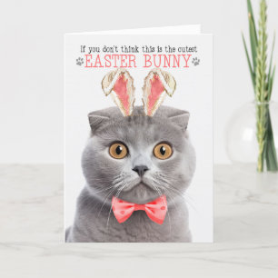 Gray Scottish Fold Niedlicher Ostern Bunny Kitty P Feiertagskarte