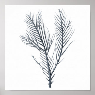 Gray Sea coral Wandbild # 9 Stranddekor Poster