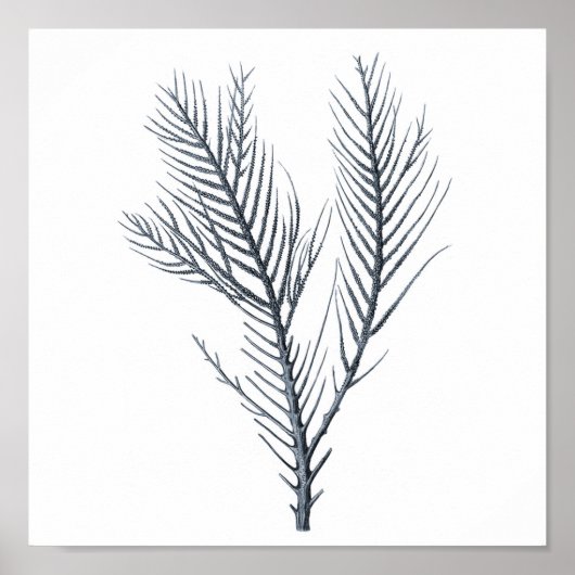 Gray Sea coral Wandbild # 9 Stranddekor Poster (Vorne)