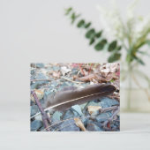 Gray Seagull Feather 1 Postkarte (Stehend Vorderseite)