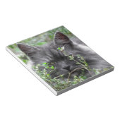 Gray Siberian Kitten Notizblock (angewinkelt)