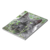 Gray Siberian Kitten Notizblock (Rotiert)