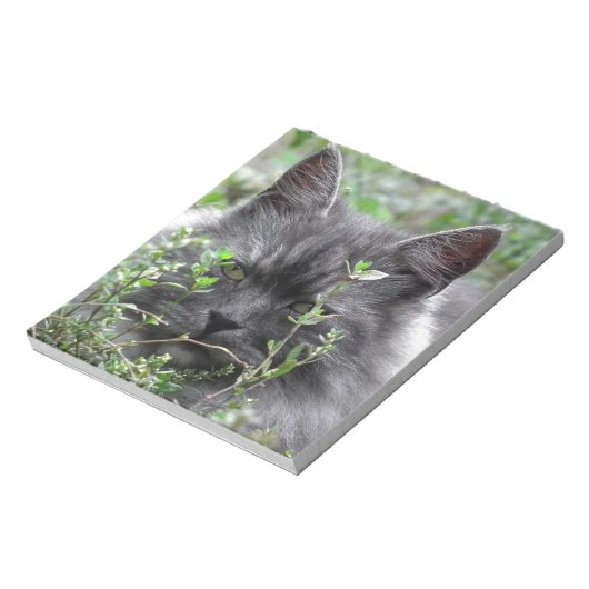 Gray Siberian Kitten Notizblock (Rotiert)