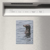 Gray Siegel Magnet (In Situ (Geschirrspüler))