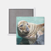 Gray Siegel Portrait Magnet (Vorderseite/Rückseite)