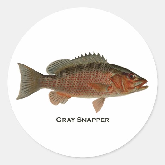 Gray Snapper Logo Runder Aufkleber (Vorderseite)