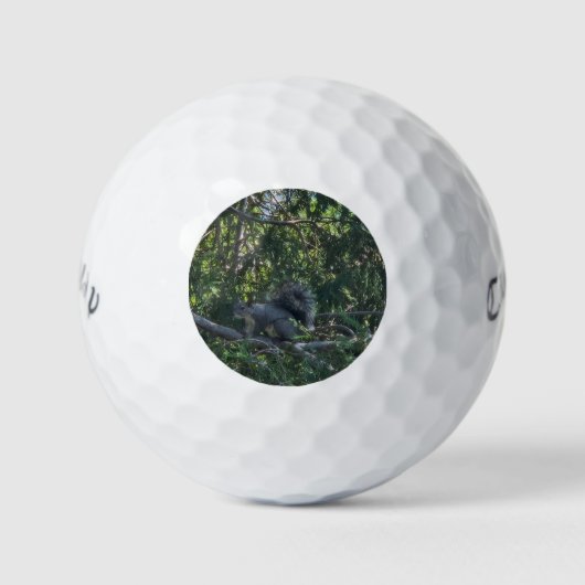 Gray Sqirrel Golfball (Vorderseite)