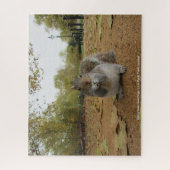 Gray Squirel Hyde Park London Jigsaw Puzzle (Vertikal)