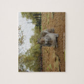 Gray Squirel Hyde Park London Puzzle (Vertikal)
