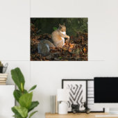 Gray Squirrel - Bute Park, Cardiff, Wales, UK Poster (Heimbüro)