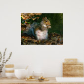 Gray Squirrel - Bute Park, Cardiff, Wales, UK Poster (Küche)
