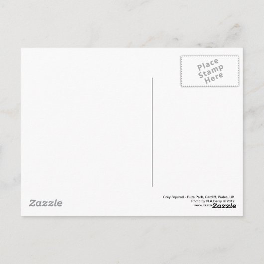 Gray Squirrel - Bute Park, Cardiff, Wales, UK Postkarte (Rückseite)