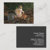 Gray Squirrel - Bute Park, Cardiff, Wales, UK Visitenkarte (Vorne/Hinten)