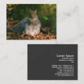 Gray Squirrel - Bute Park, Cardiff, Wales, UK Visitenkarte (Vorne/Hinten)