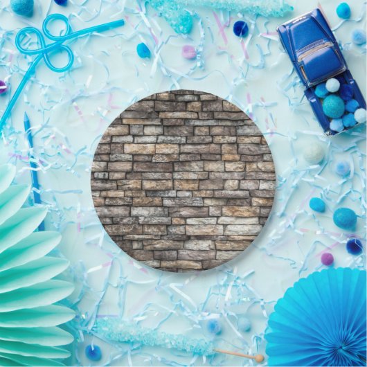 Gray Stone Wall Pappteller (Party)