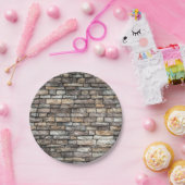 Gray Stone Wall Pappteller (Party)