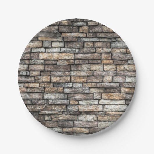 Gray Stone Wall Pappteller (Vorderseite)